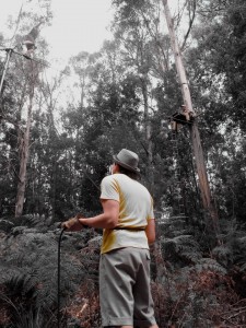teaching highwire